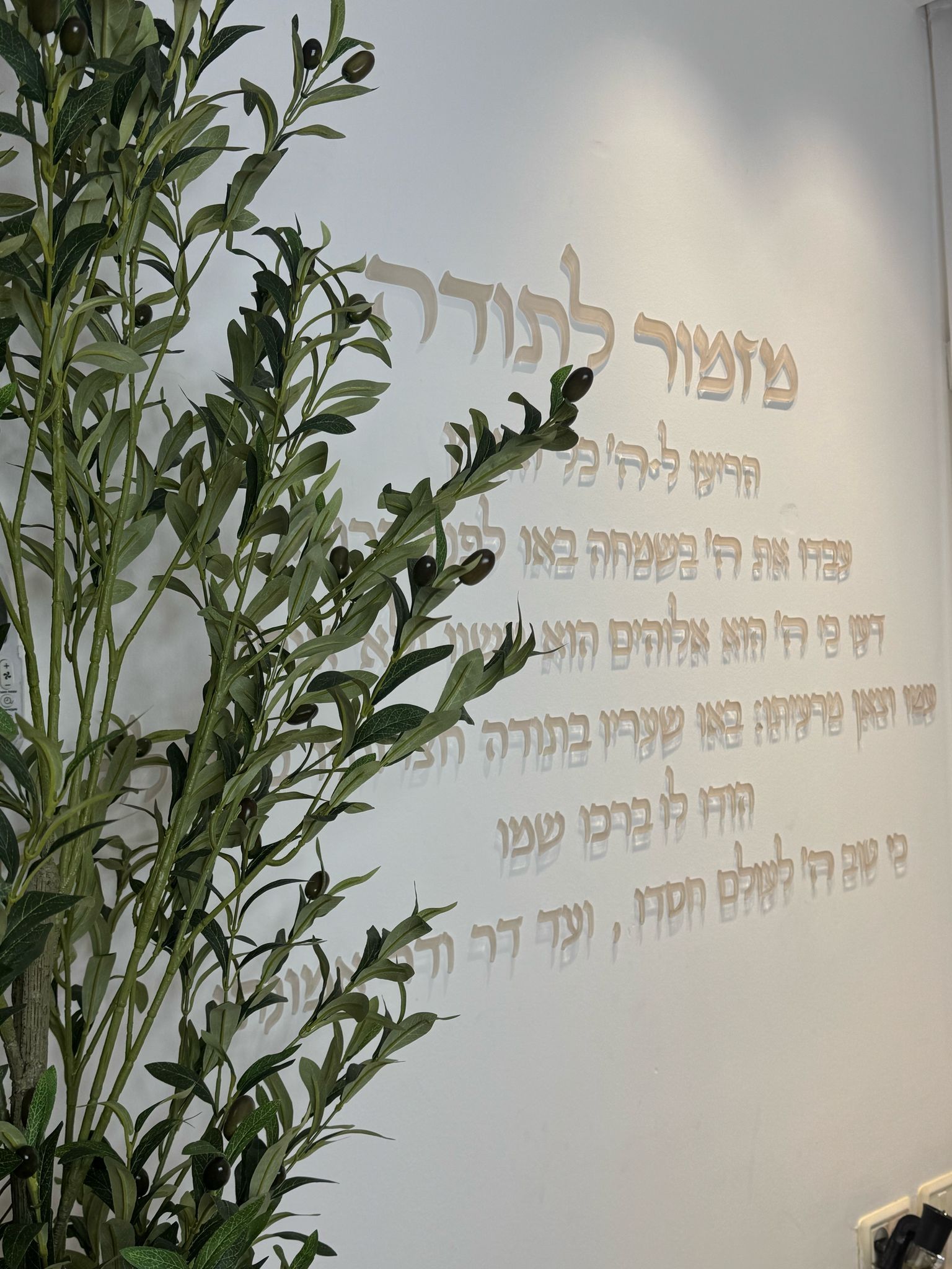 מזמור לתודה אותיות לקיר הריעו – תמונה 2