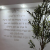 מזמור לתודה אותיות מרחפות לחלל הבית